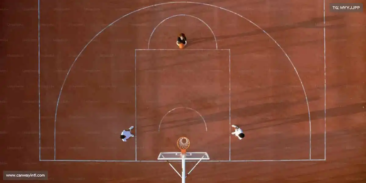 行业领先的理由